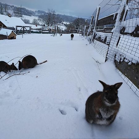 Apartman Na Statku Cerveny Kostelec Luaran gambar