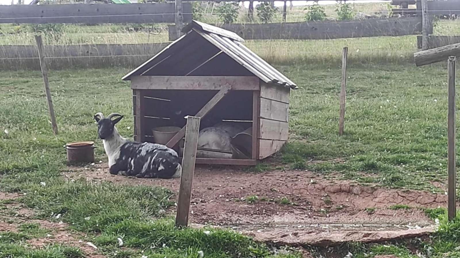 Apartman Na Statku Cerveny Kostelec Luaran gambar