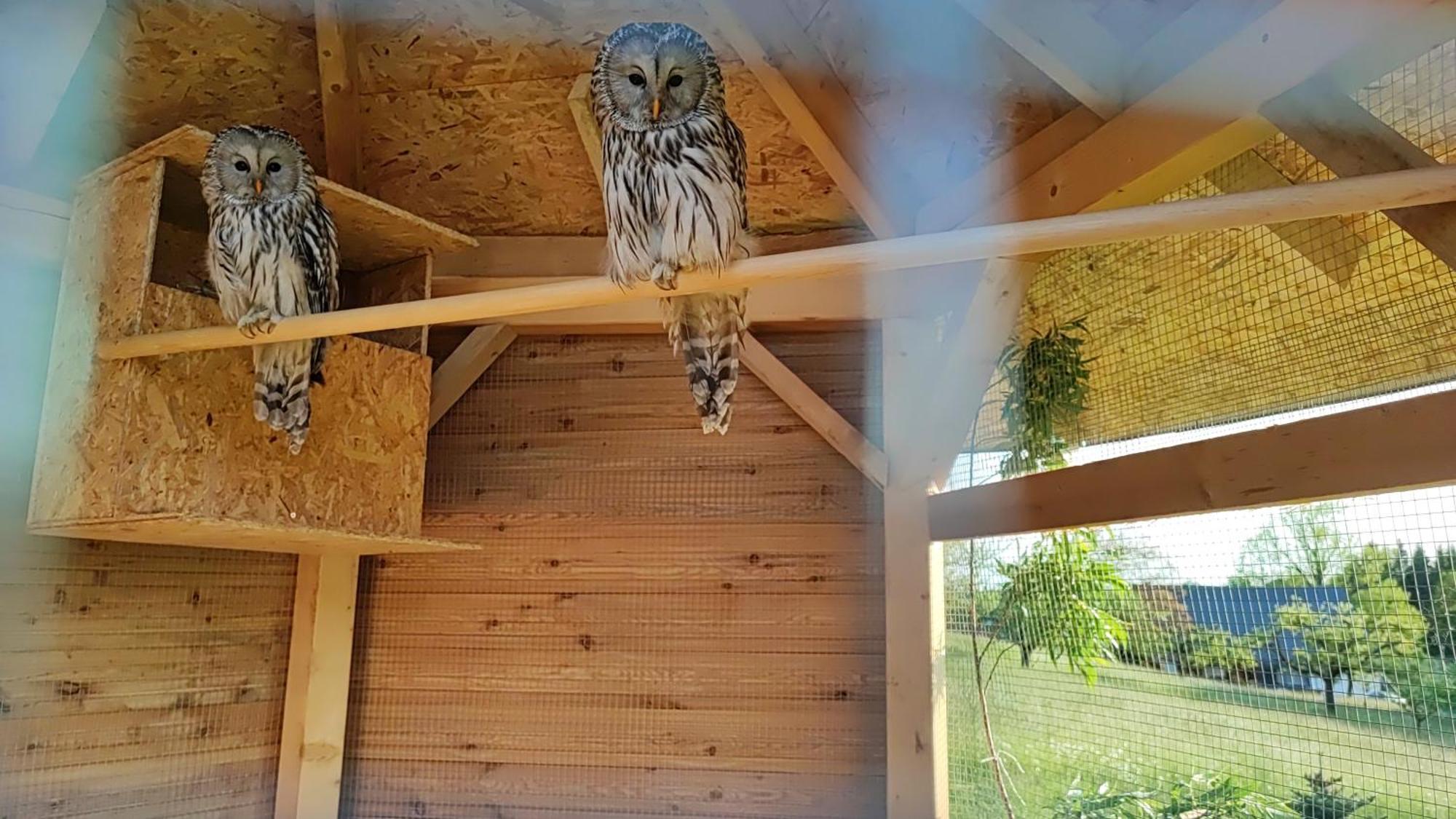 Apartman Na Statku Cerveny Kostelec Luaran gambar