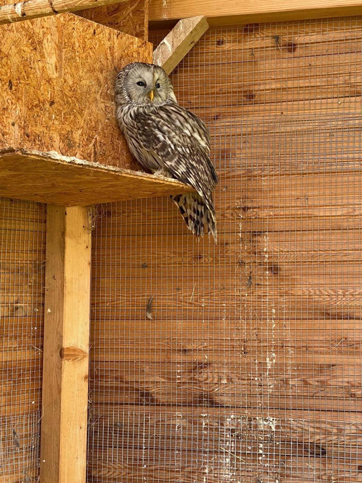 Apartman Na Statku Cerveny Kostelec Luaran gambar